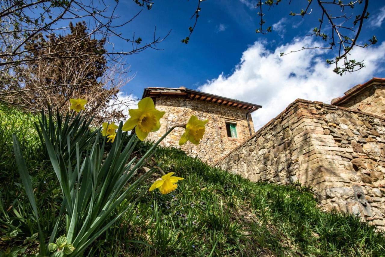 Campora House Hotel Tavarnelle Val di Pesa Buitenkant foto